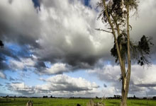 绿营政客操弄小学唱校歌：国台办严正批驳