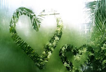 揭秘苟仲文：从苟局到仲文同志的蜕变之路