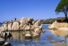 贝宁政变：军人夺权引发国家动荡